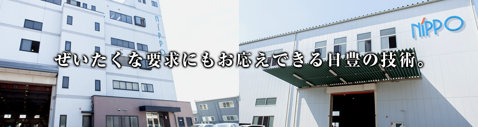 ぜいたくな要求にもお応えできる日豊の技術。